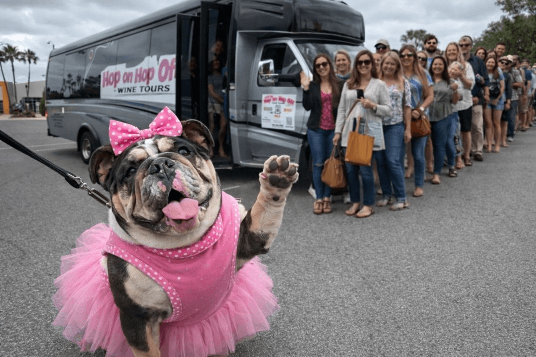 Temecula limo and black car service